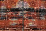 Tall Colorful Arizona Petrified Wood Bookends - Black & Red #382143-2